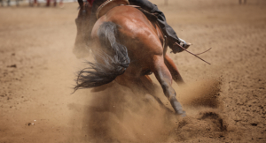 Horse running with rider at a rodeo
