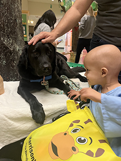 Ignacio at the hospital in recovery from his rare pediatric cancer petting a black dog.